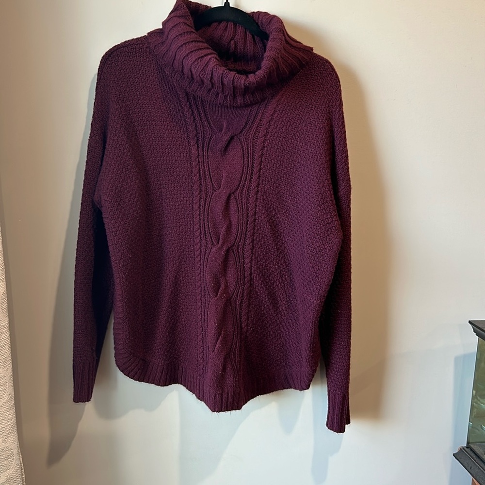 Turtle neck sweater (Maroon & green)
